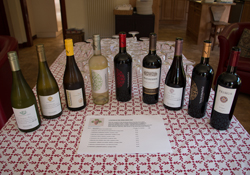 Chilean Tasting